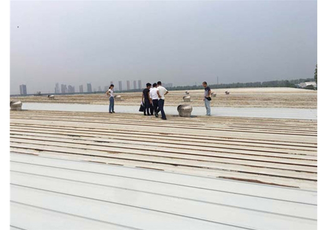 汉口北金马凯旋家居仓库彩钢瓦更换加固