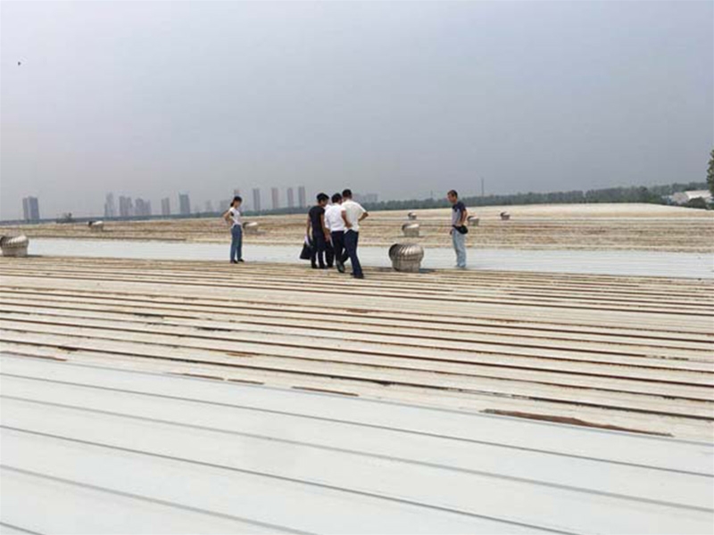 汉口北金马凯旋家居仓库彩钢瓦更换加固